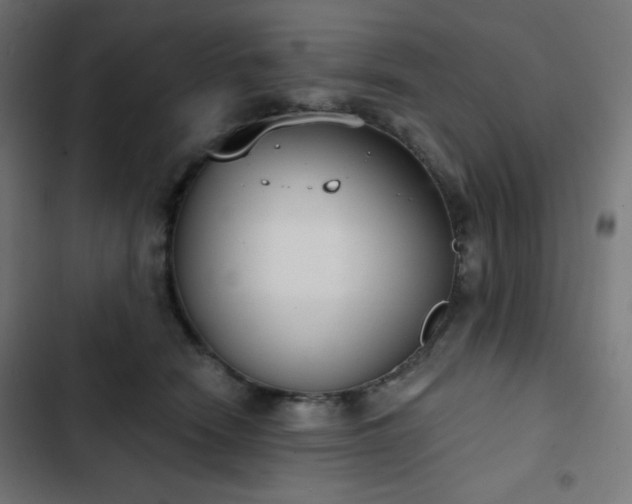 X0000103260466200809051448