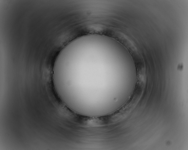 X0000103260468200809051448