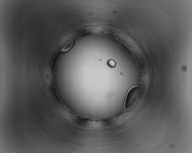 X0000103260469200809051448