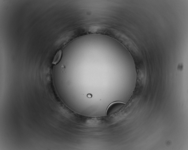 X0000103260470200809051448