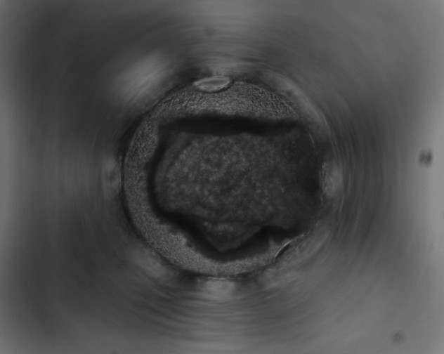 X0000103260471200809051448