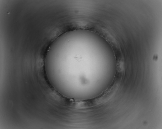 X0000103260472200809051448