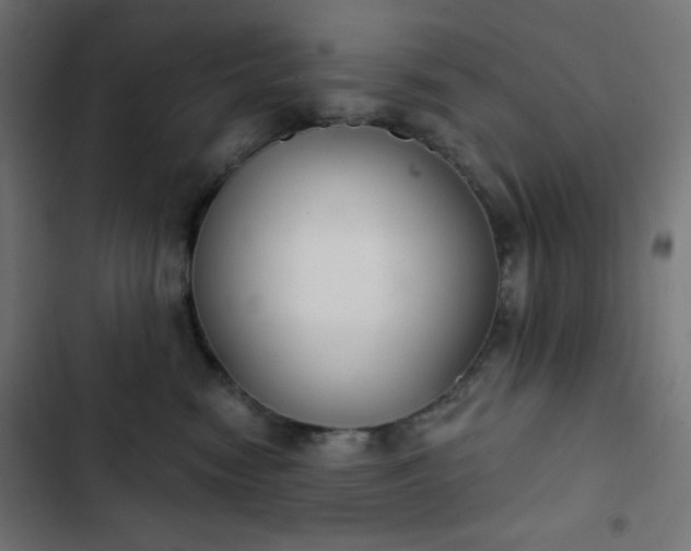 X0000103260474200809051448