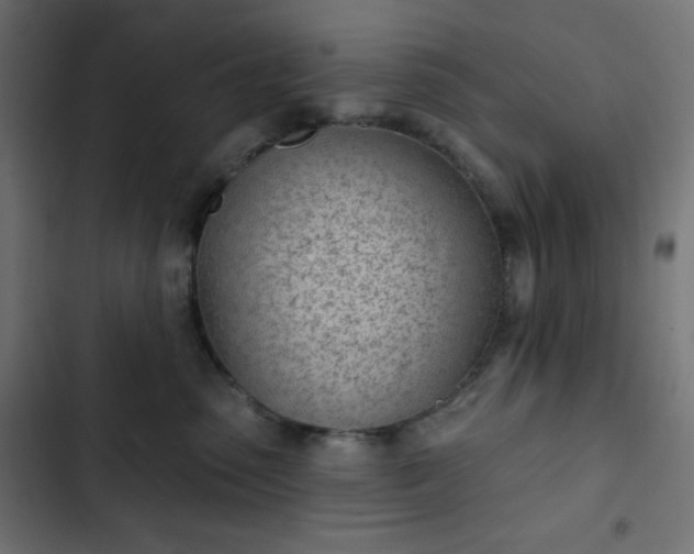 X0000103260475200809051448