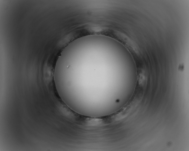 X0000103260476200809051448