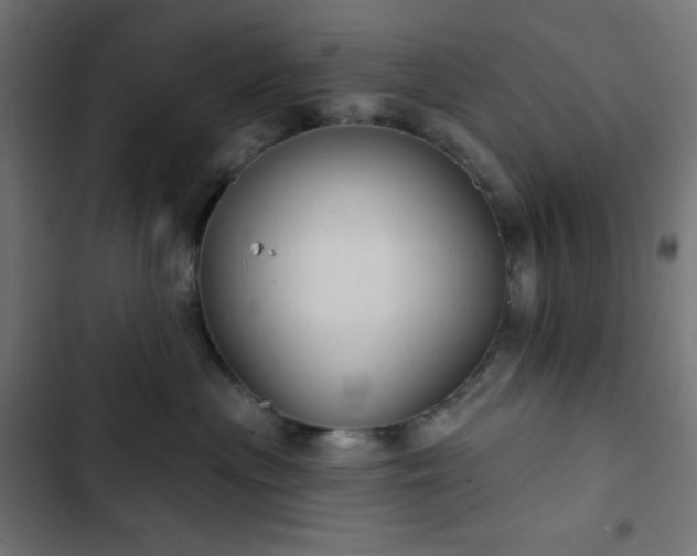 X0000103260477200809051448