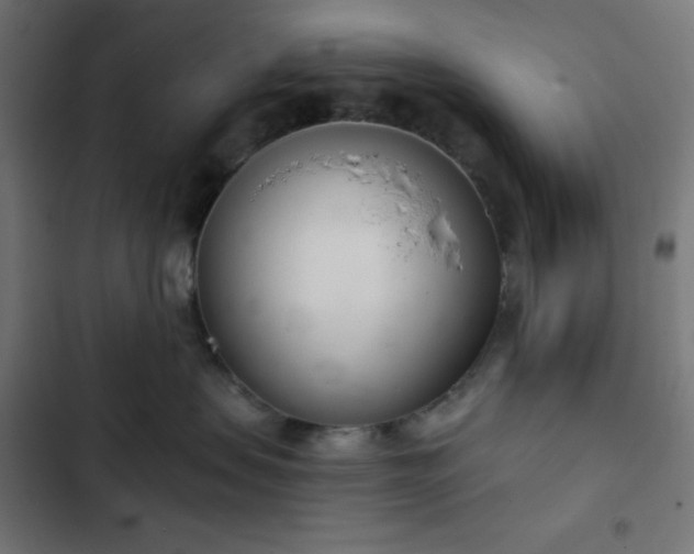 X0000103260479200809051448