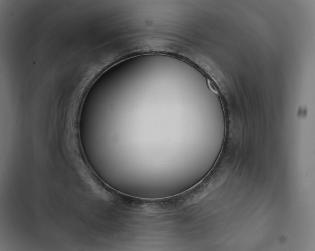 X0000103260481200809051447