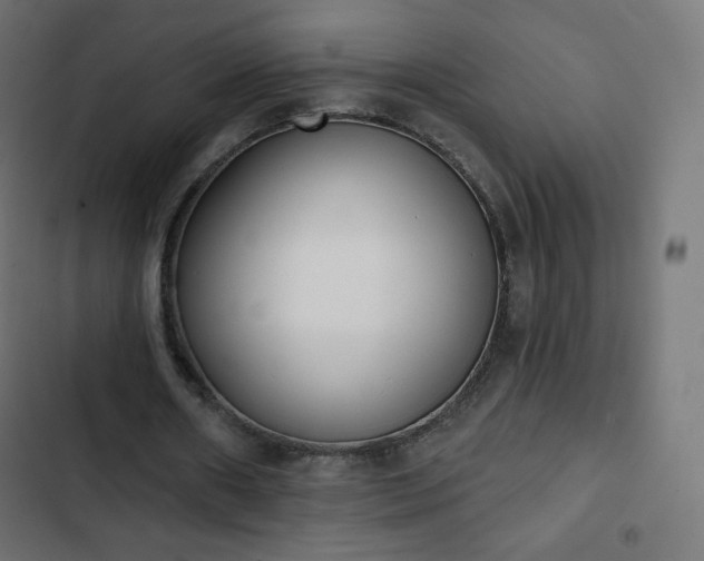 X0000103260482200809051447