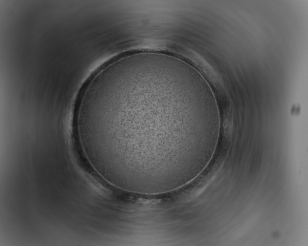 X0000103260484200809051447