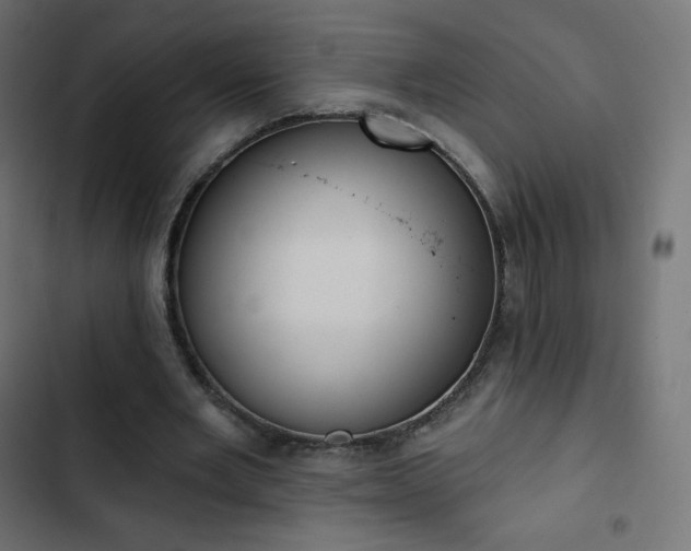 X0000103260485200809051447