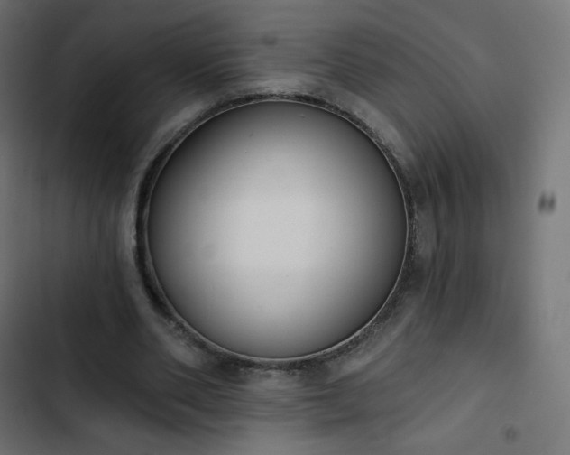 X0000103260486200809051447