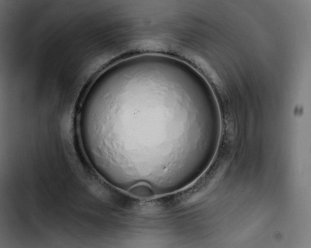 X0000103260487200809051447