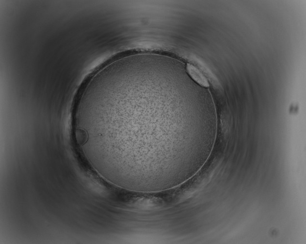 X0000103260488200809051447