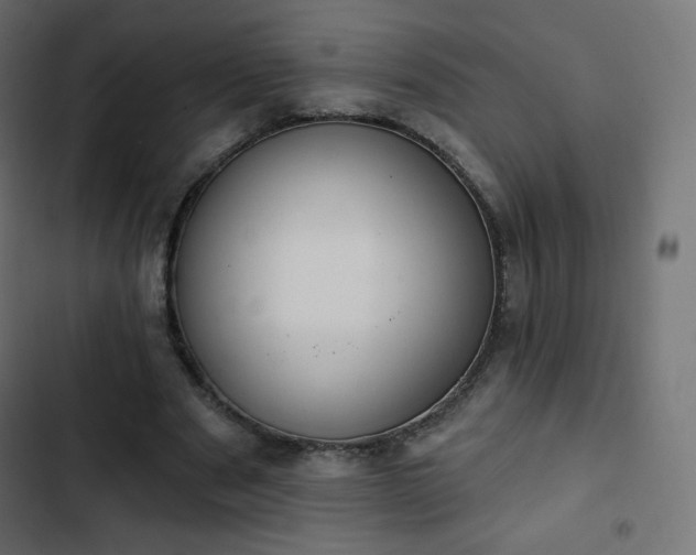 X0000103260489200809051447