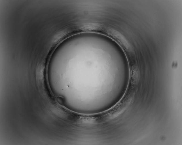 X0000103260491200809051447