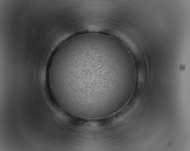 X0000103260492200809051447