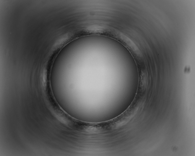 X0000103260494200809051447