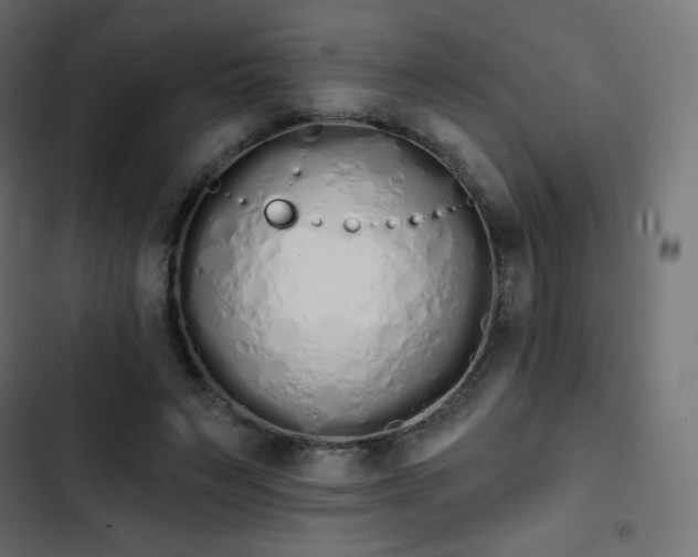 X0000103260495200809051447