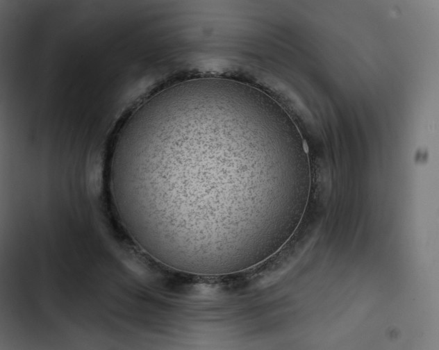 X0000103260496200809051447