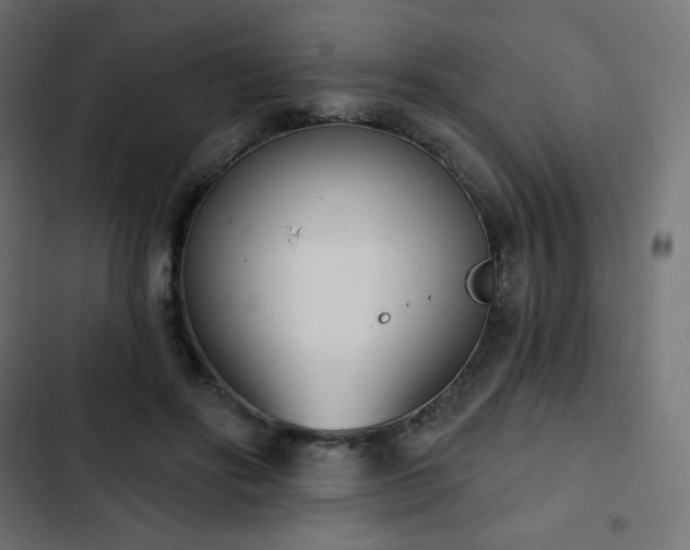 X0000103260502200809051447