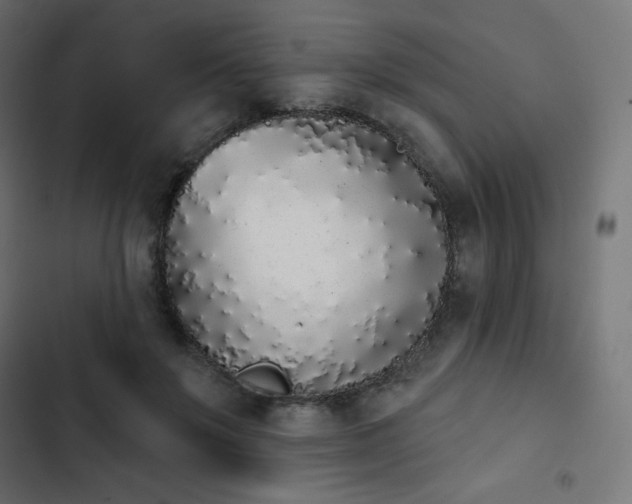 X0000103260503200809051447