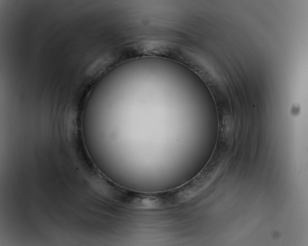 X0000103260506200809051447