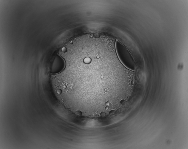 X0000103260507200809051447