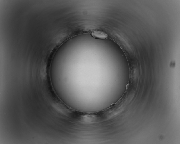 X0000103260508200809051447