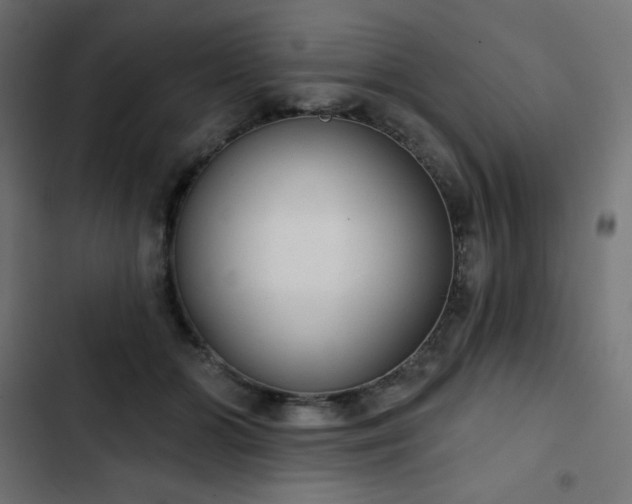 X0000103260510200809051447