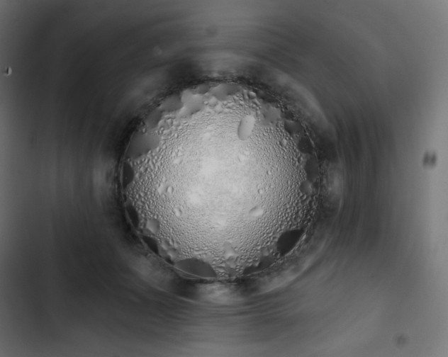 X0000103260511200809051447