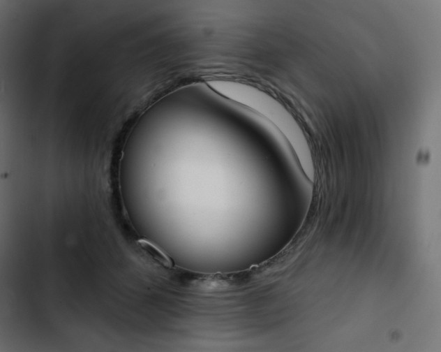 X0000103260512200809051447