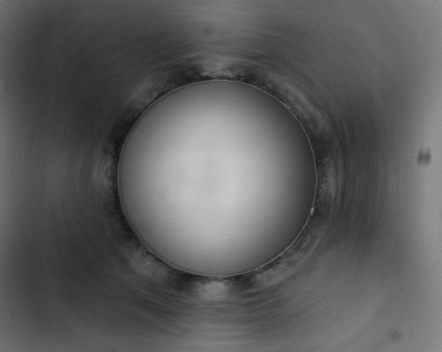 X0000103260513200809051447