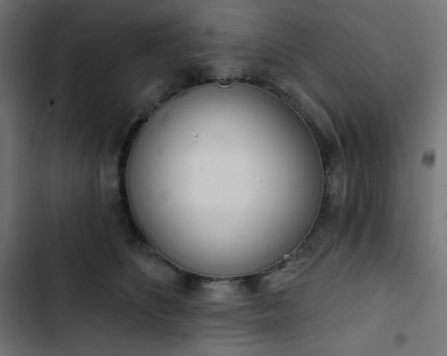 X0000103260516200809051447