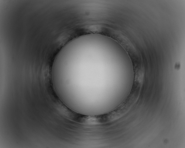 X0000103260518200809051447