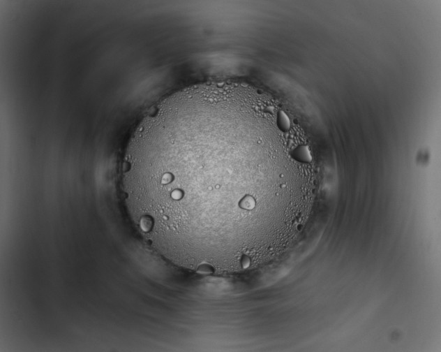 X0000103260519200809051447