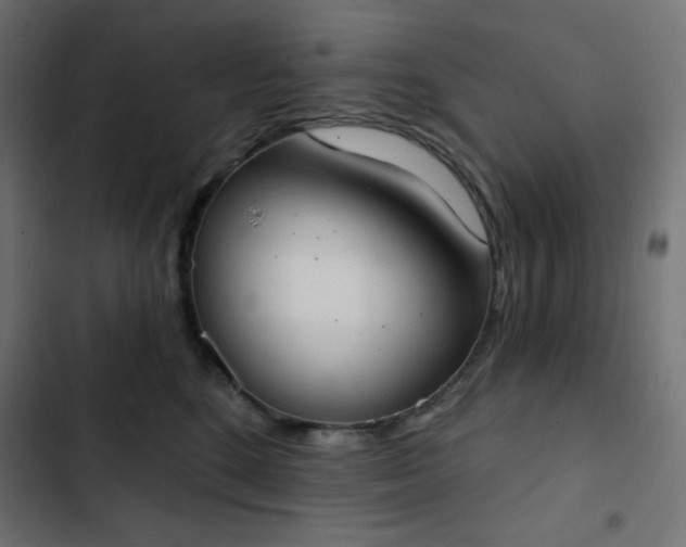 X0000103260520200809051447