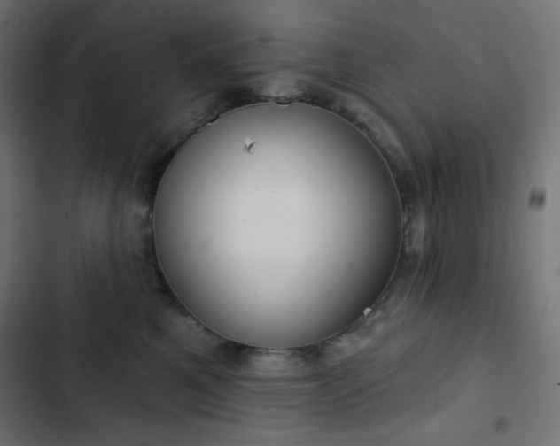 X0000103260521200809051447