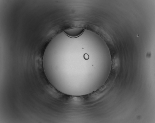 X0000103260522200809051447