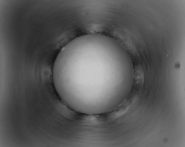 X0000103260523200809051447