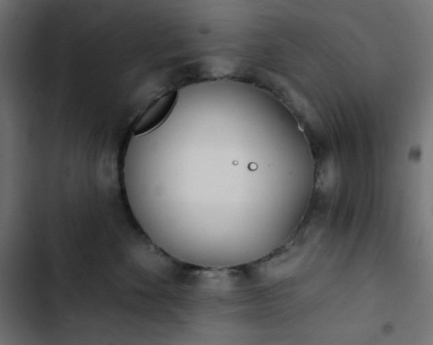 X0000103260524200809051447