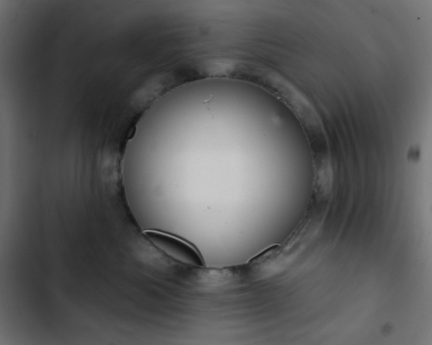 X0000103260525200809051447