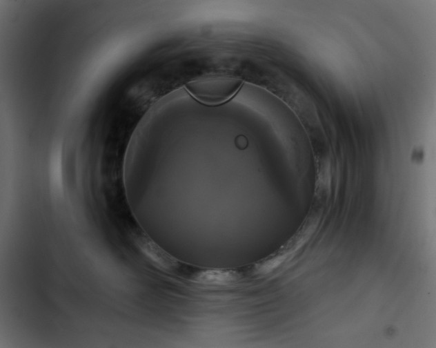 X0000103260526200809051446