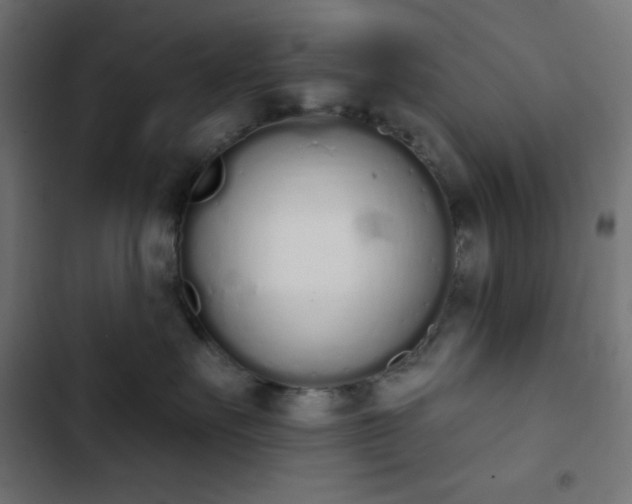 X0000103260527200809051446