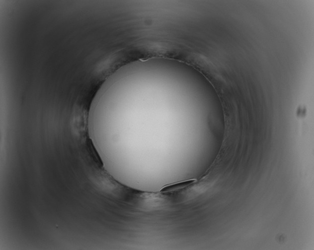 X0000103260528200809051446