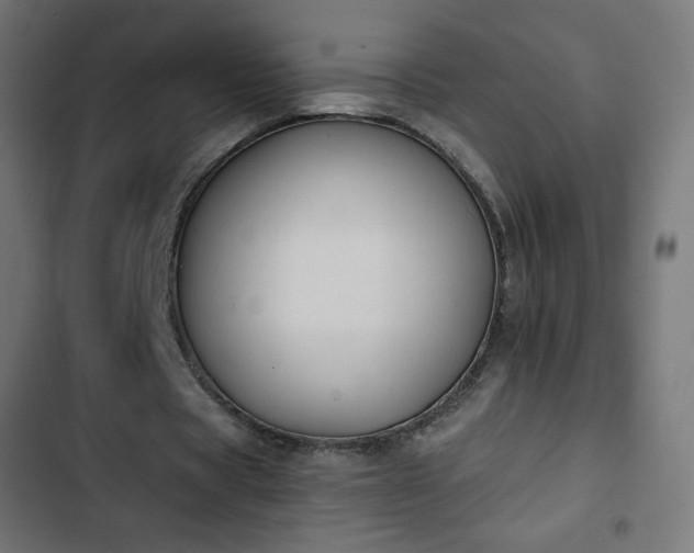 X0000103260529200809051446