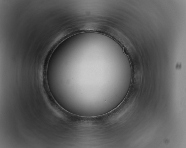 X0000103260530200809051446