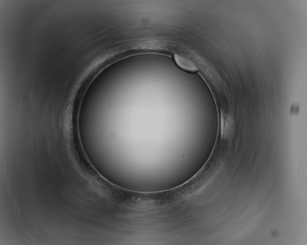 X0000103260531200809051446