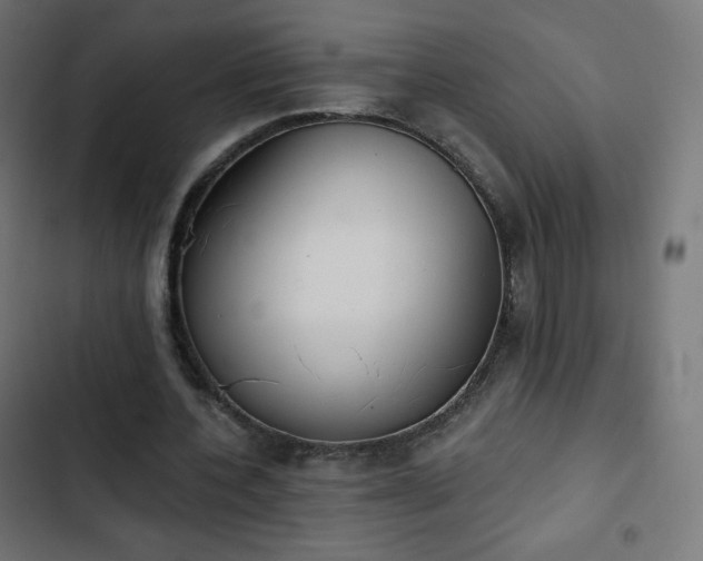 X0000103260532200809051446