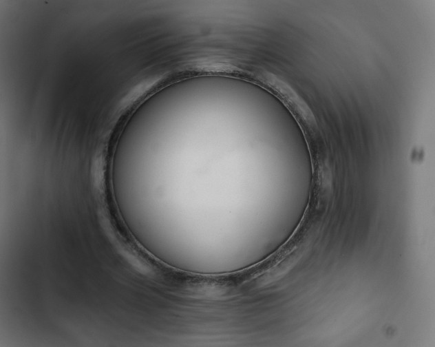 X0000103260533200809051446